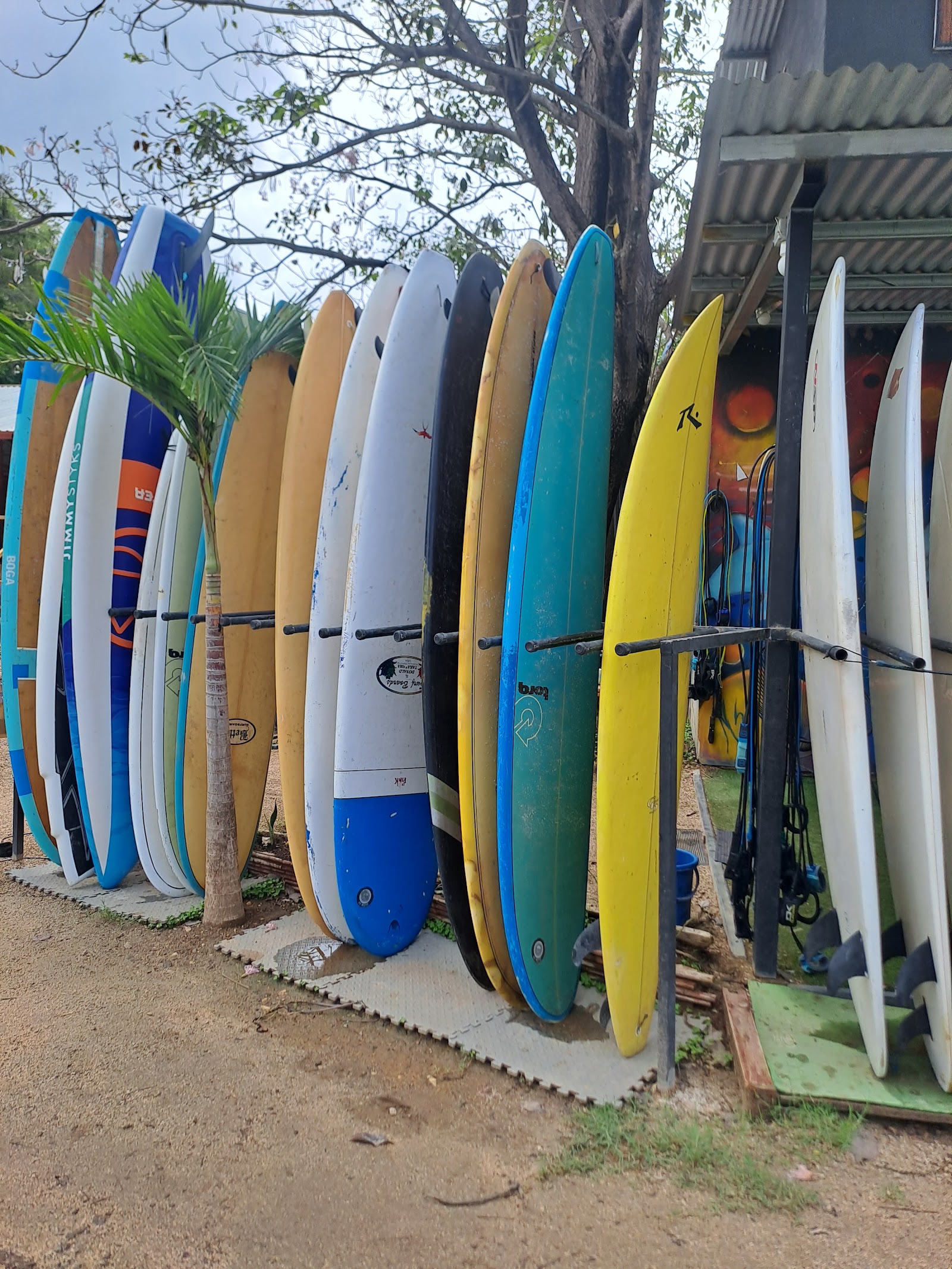 Club 33 Surf Shop kitesurfing shop in Costa Rica — photo 3