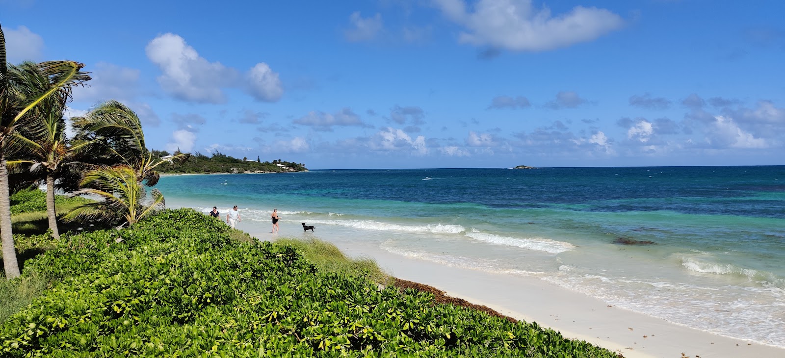 Kitesurf Antigua - Kitesurfing School and Rentals kitesurfing school in Caribbean – Leeward Islands — photo 3