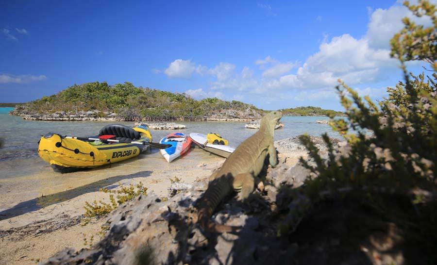 Waterplay TCI Provo Paddle Boarding Kayak Kitesurf Boat Rental kitesurfing shop in turks caicos