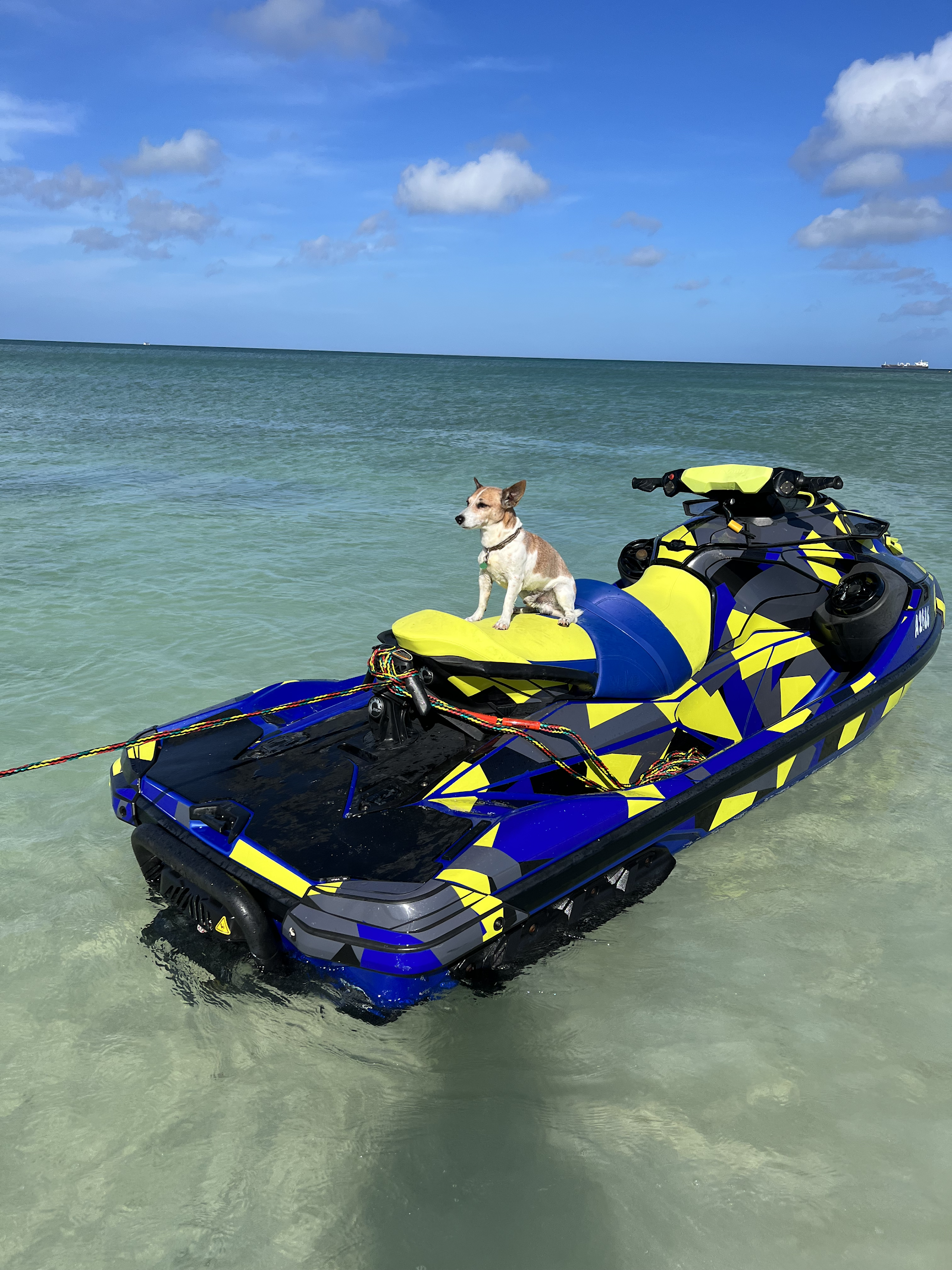 Kiteboarding Aruba - Kitesurfing school kitesurfing school in ABC Islands (Aruba) — photo 2