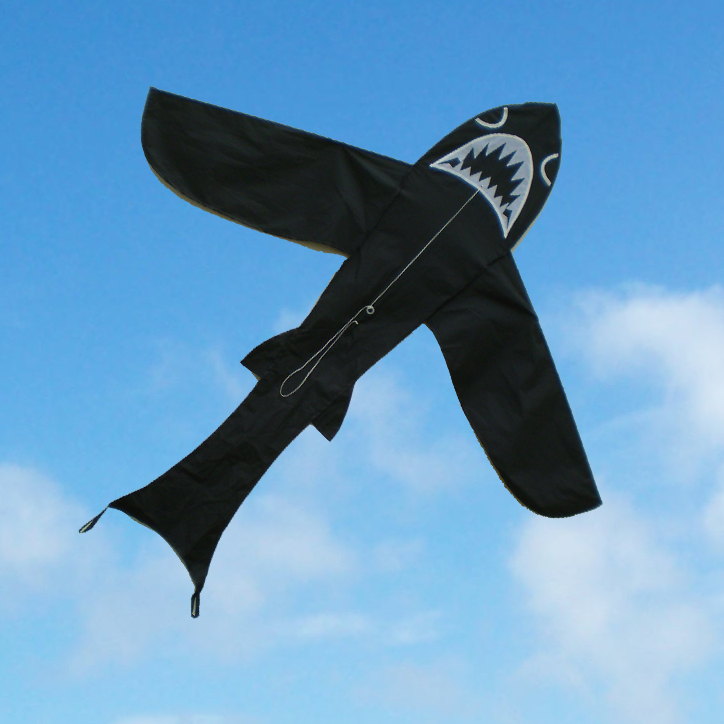 Leading Edge Kites kitesurfing shop in Brisbane & Gold Coast — photo 3
