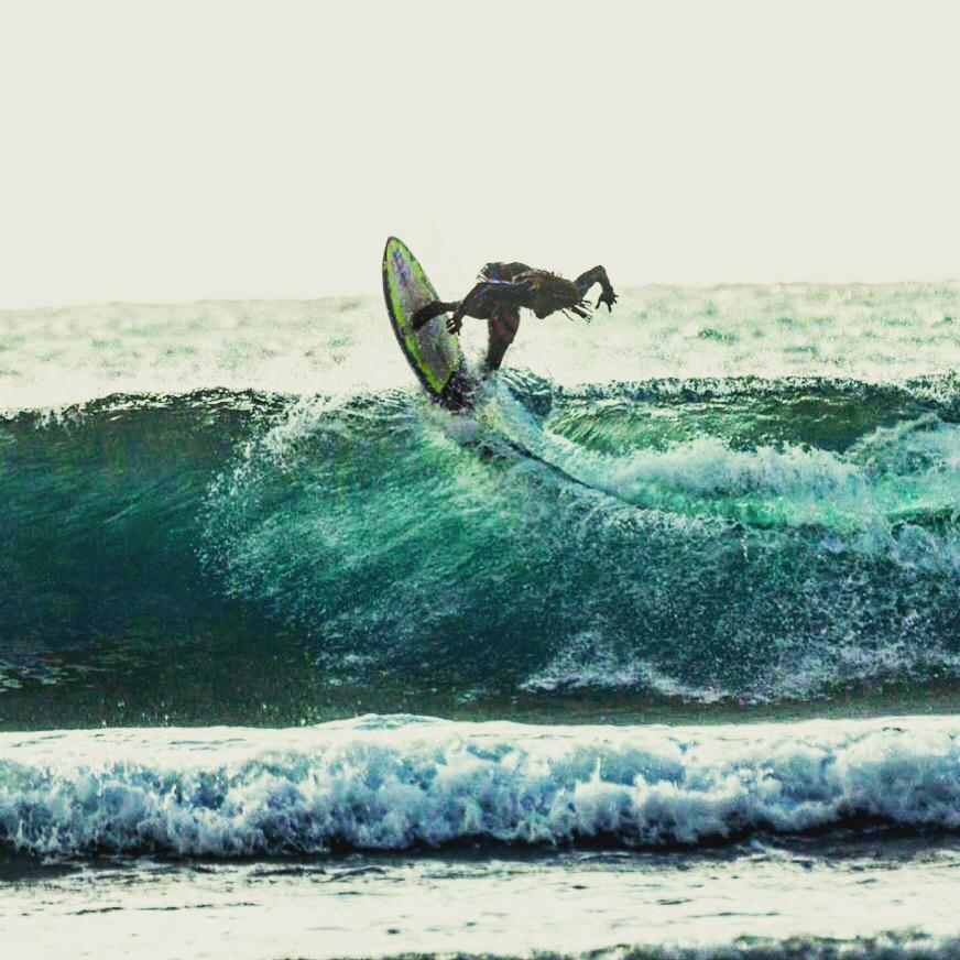 Mt. Irvine Bay Surfing kitesurfing school in Tobago — photo 2