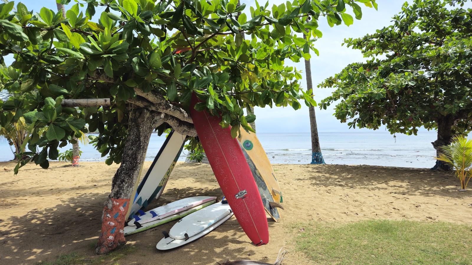 Mt. Irvine Bay Surfing kitesurfing school in Tobago — photo 3