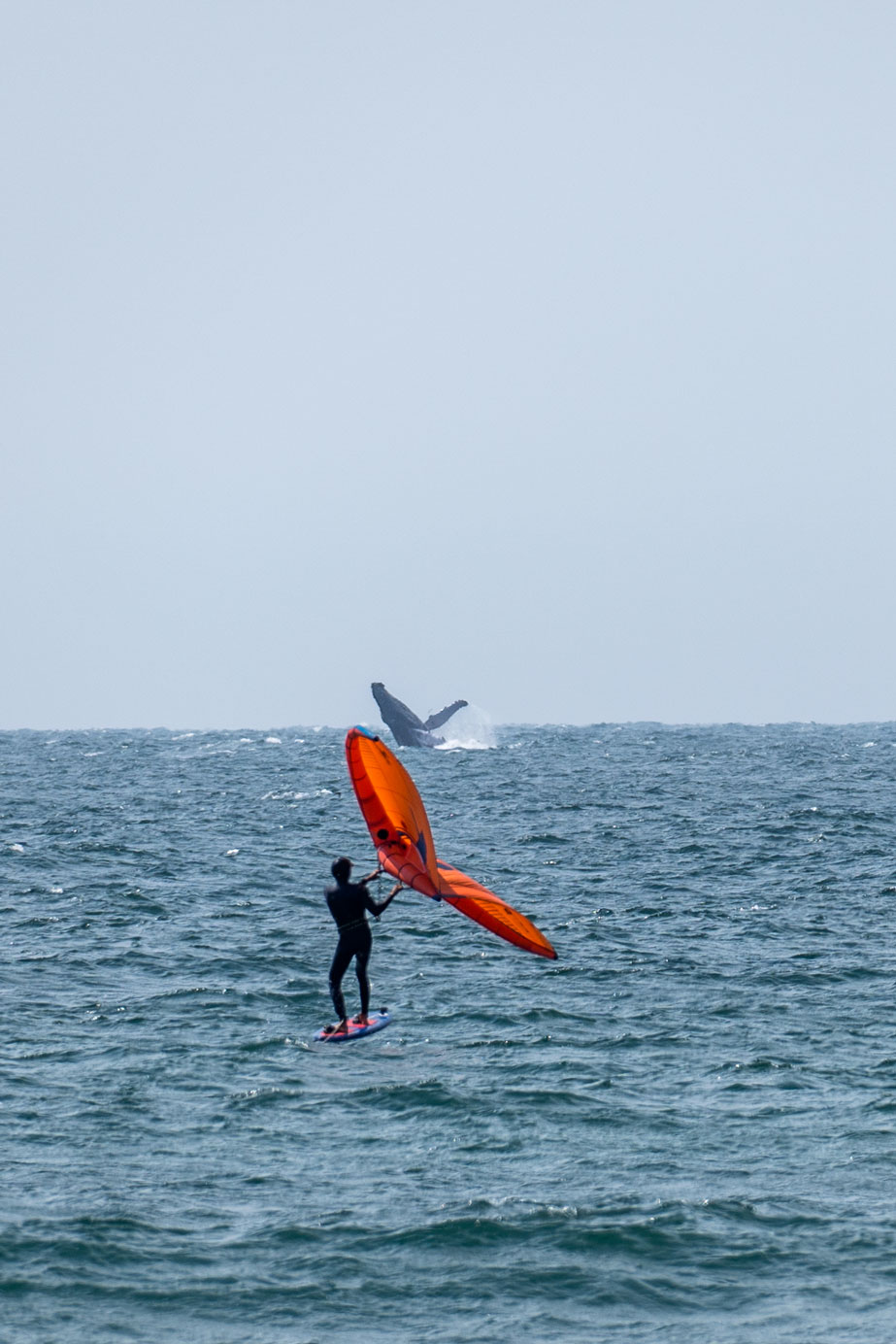 Mancora Kite Club - Escuela kitesurf y wingfoil kitesurfing school in peru north