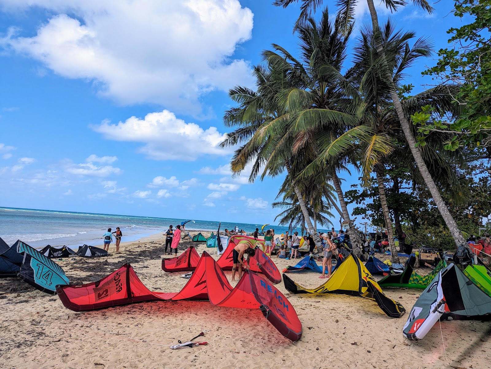 Kitesurf - Kiteworld Las Terrenas kitesurfing school in Dominican Republic — photo 3
