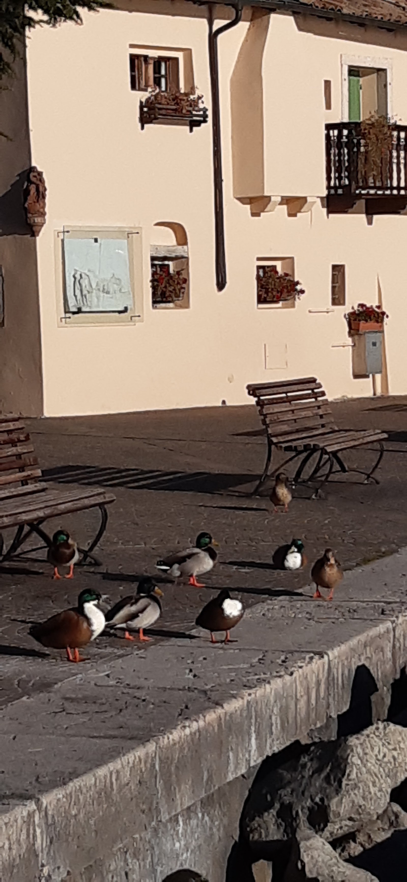 Best Wind 2 kitesurfing shop in Lake Garda — photo 3
