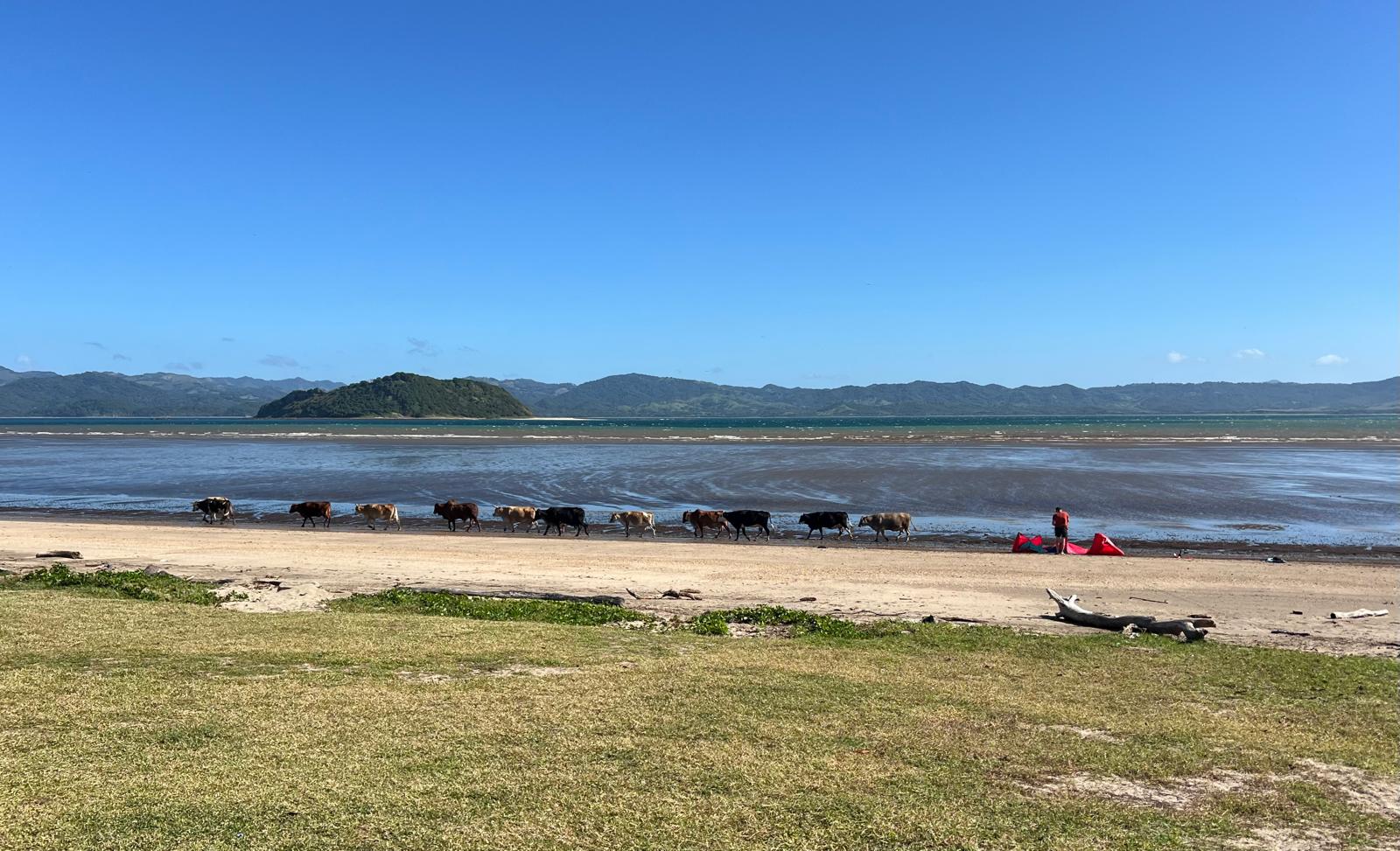 Costa Kite kitesurfing school in Costa Rica — photo 3